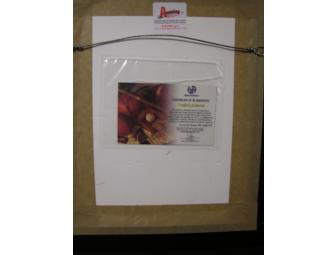 Joe Perry 'Aerosmith' Signed Framed Display