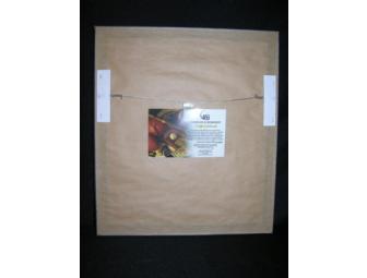 Brian May Signed And Framed Photo