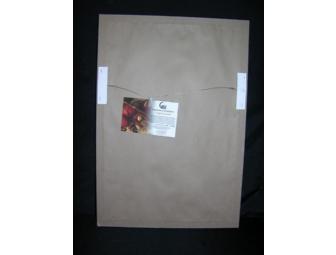 President Gerald Ford Signed And Framed Photo, With Another Photo Display