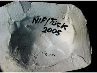 Nip/Tuck (2003-2010) Bruce Campos 'Carver' Lifecast