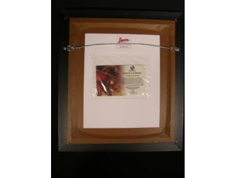Don Knotts Signed Framed Display