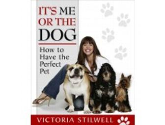 Experience of a Lifetime with It's Me or the Dog's Victoria Stilwell!