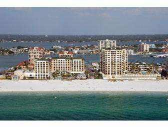 'A Dolphin's Tale' Family Experience