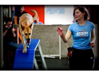 Zoom Room Dog Training Package