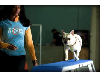 Zoom Room Dog Training Package