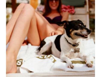 Ace Hotel and Swim Club, Palm Springs