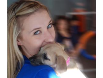 Zoom Room Dog Training Package