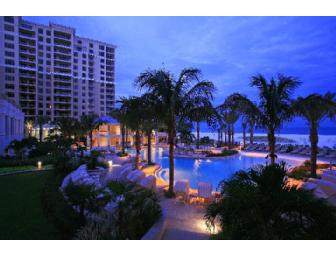 'A Dolphin's Tale' Family Experience