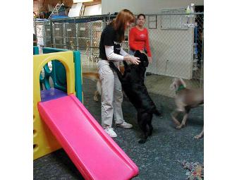 Boarding and Bath for your Special Pooch! Los Angeles, CA