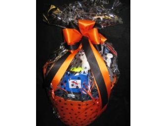 Zoom Room Agility Package & Gift Bucket