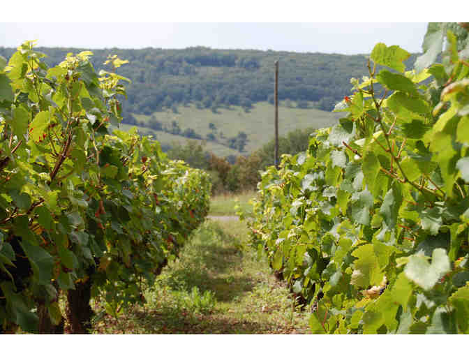 Two hour tour of South Burgunday, France