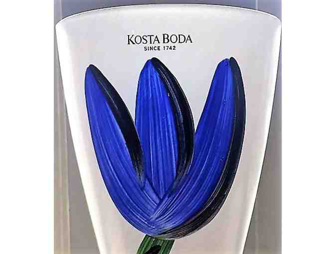 Kosta Boda Vase Tulip by Ulrica Hydman-Vallien