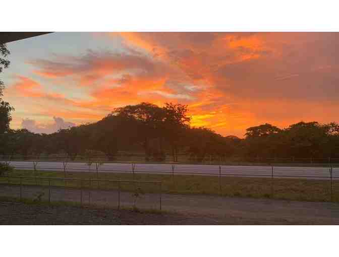 $50 Gift Certificate to Celajes