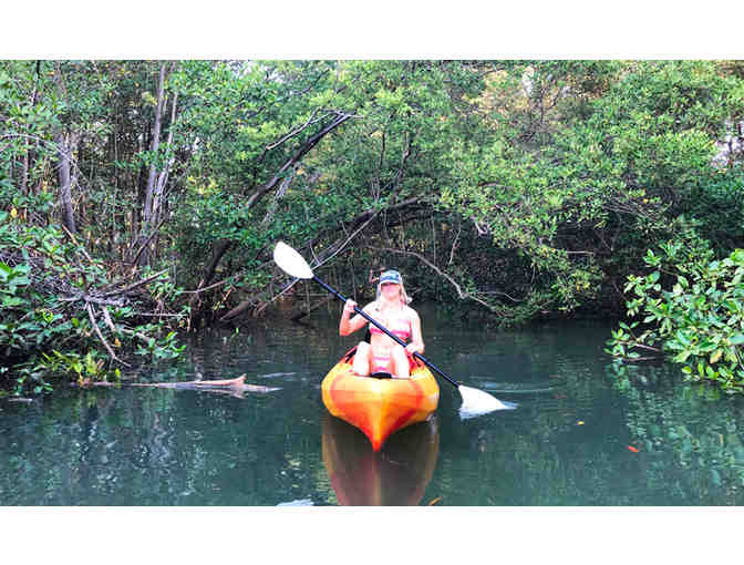 Experience Nosara Kayak & SUP Tour, With Lobster Dinner & Bonfire