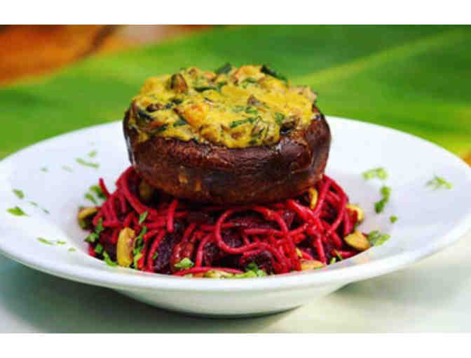 Daypass And Lunch for 4 At Sacred Playground