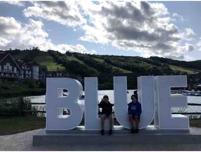 One week stay at a Ski Chalet in Blue Mountain Ontario