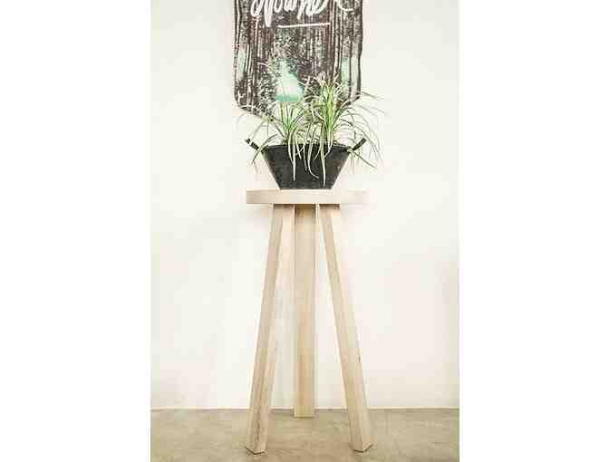Plant Stand by Fokl