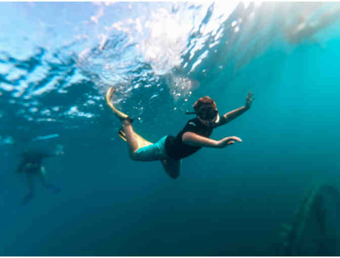 Half Day Catamaran Adventure with Vilbert's Secret Spot