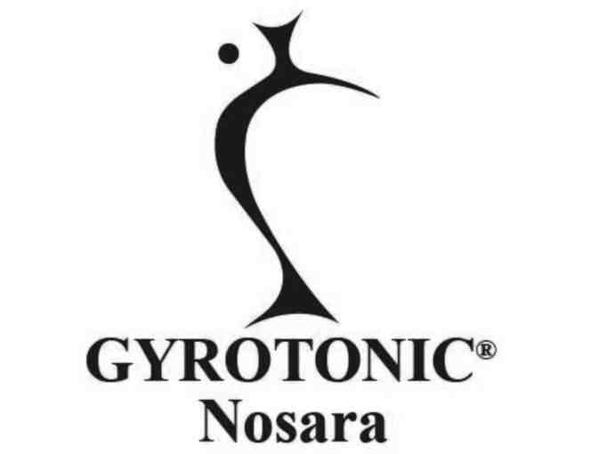 Wellness Day at Paradise Pilates and Gyrotonic Nosara