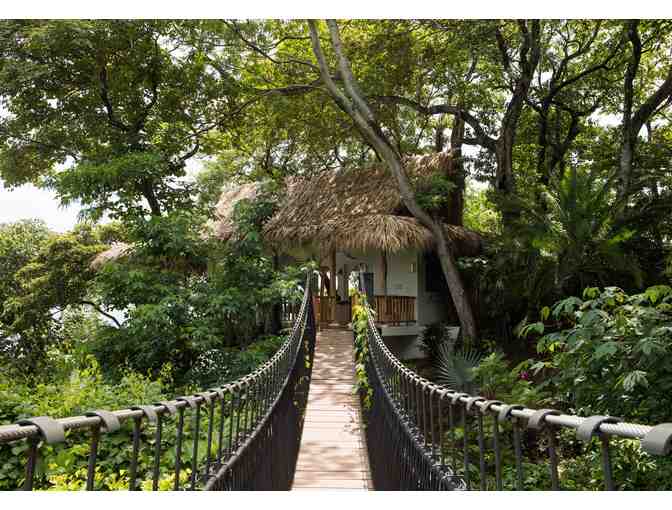 Landscape Consultation With Vida Masterplanning + Design