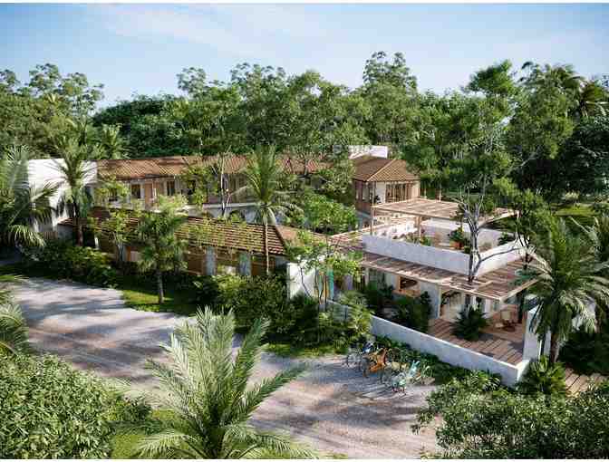 3 Month Membership to Outpost, Nosara's New Beachfront Co-Working Space