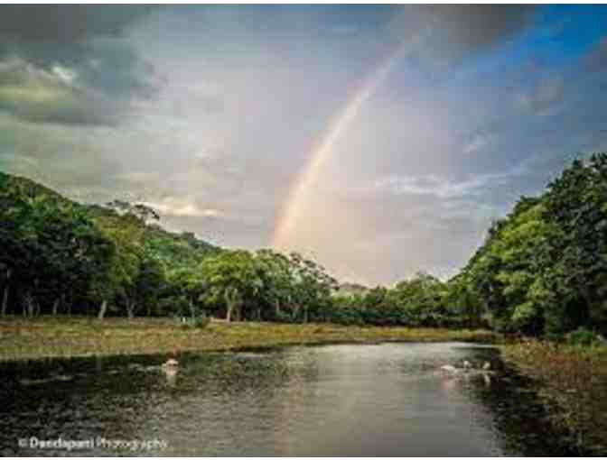Learn to Prune At Nature's Spiritual Sanctuary, Siva Ashram