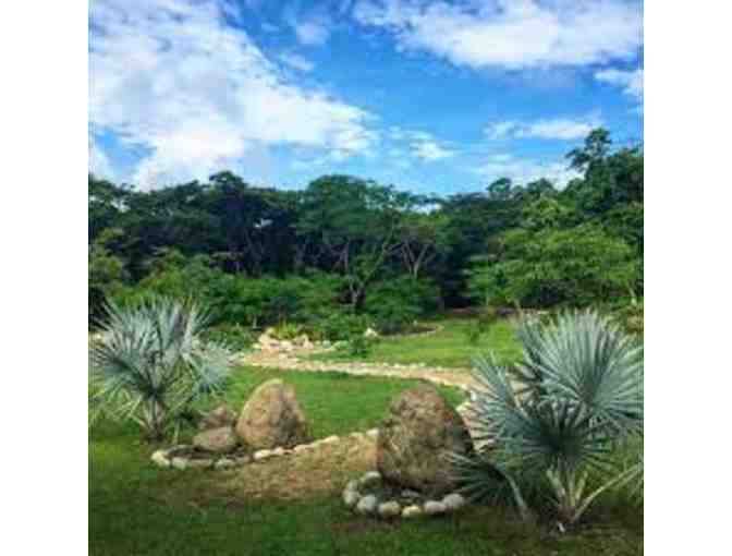 Learn to Prune At Nature's Spiritual Sanctuary, Siva Ashram