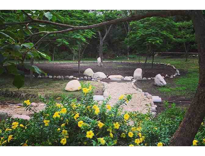 Learn to Prune At Nature's Spiritual Sanctuary, Siva Ashram