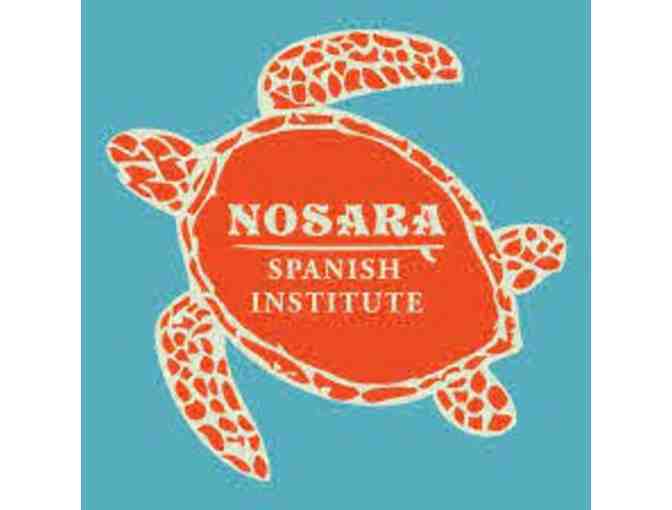 Group Classes At the Nosara Spanish Institute!