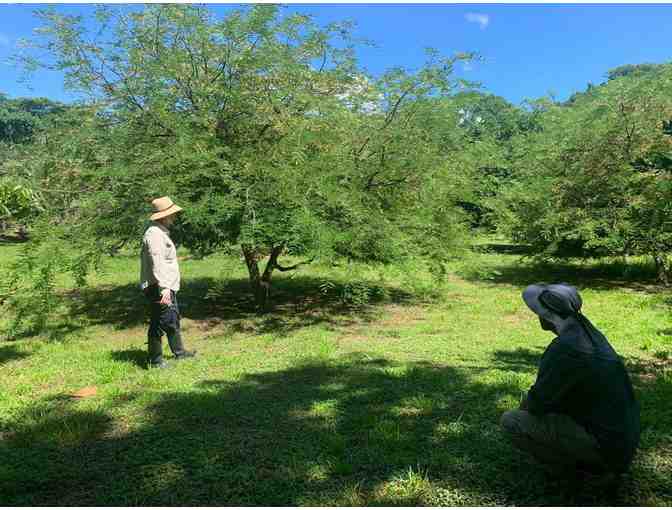 Learn to Prune At Nature's Spiritual Sanctuary, Siva Ashram
