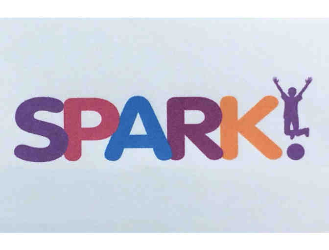 Spark! Family Pass for Four