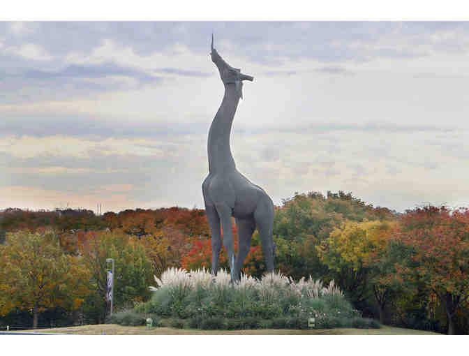 Dallas Zoo Tickets for 2 Adult and 2 Youth