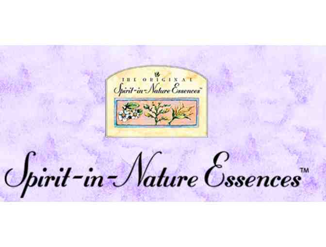 Spirit-in-Nature Flowers Essence Set of Your Choice