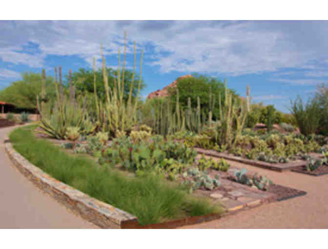 Desert Botanical Garden- Two General Admission Passes - Photo 3