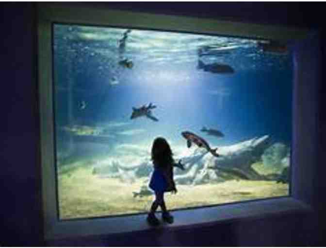 Odysea Aquarium- Admission for Two