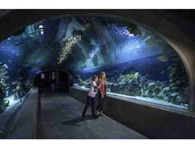 Odysea Aquarium- Admission for Two