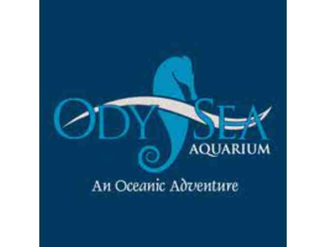 Odysea Aquarium- Admission for Two - Photo 1
