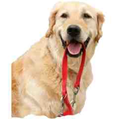 Sit 4 You House and Pet Sitting