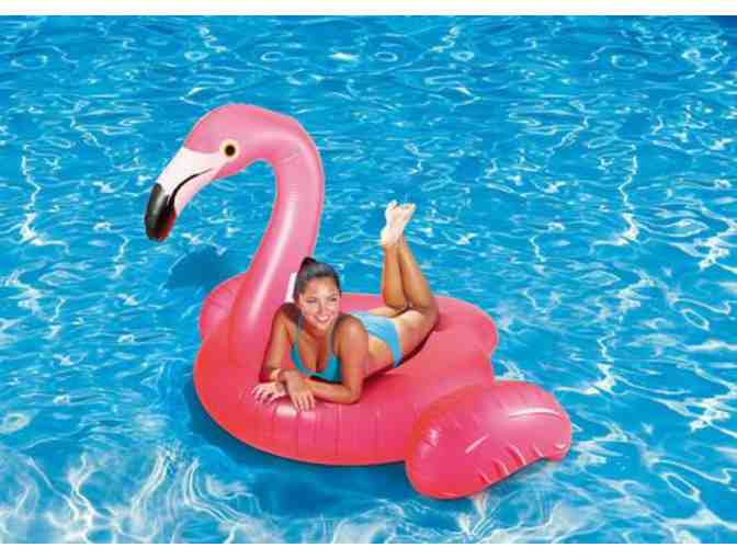 Fun in the Sun Package