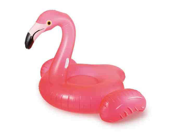 Fun in the Sun Package