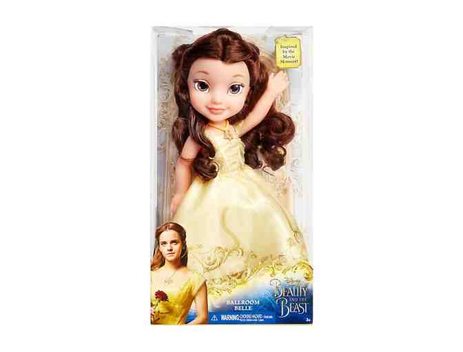Disney Princess Doll and Barbie Package