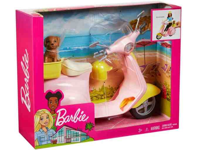 Disney Princess Doll and Barbie Package