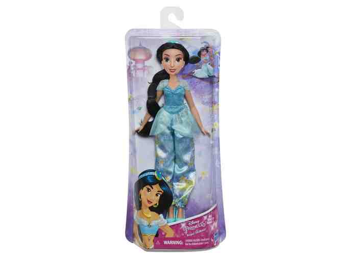 Disney Princess Doll and Barbie Package