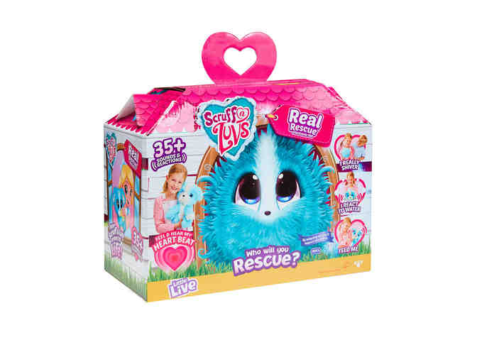 Disney Princess Doll and Barbie Package