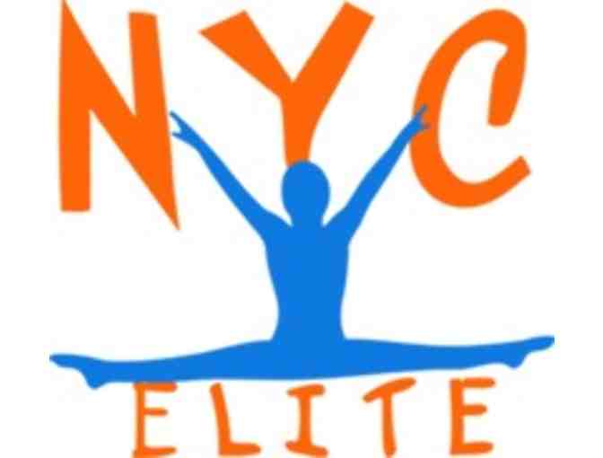 One Week of Summer Camp at NYC Elite Gymnastics
