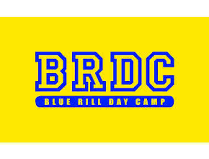 25% OFF Summer 2015 Tuition Gift Certificate at Blue Rill Day Camp