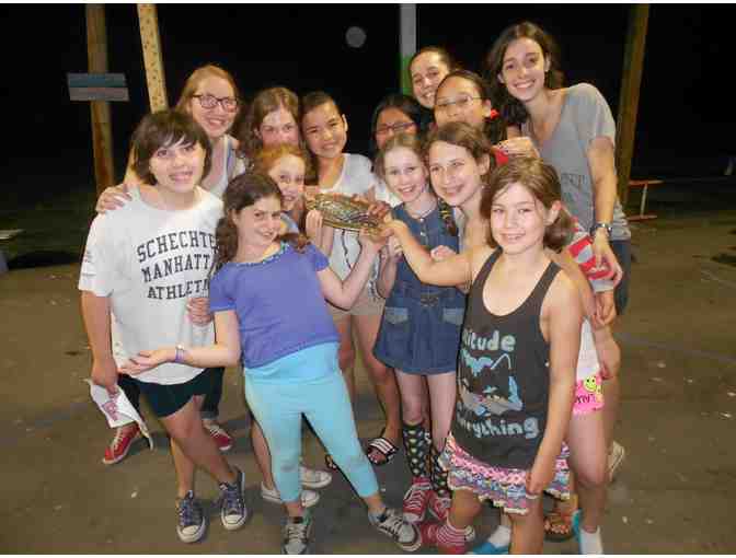 $1,000 off Session 1 or Session 2 of camp or $2,000 off the entire camp summer at Camp Na'aleh