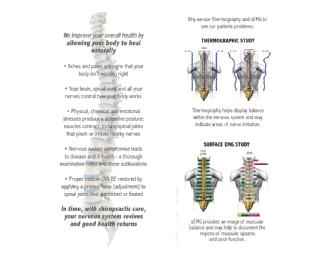 Chiropractic Sessions