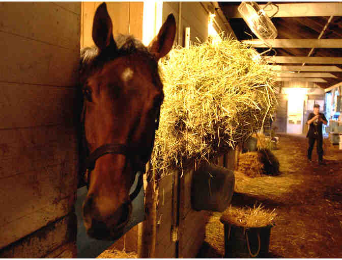 Churchill Downs VIP Experience