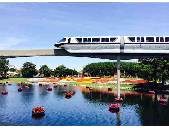 Disney World Family Adventure